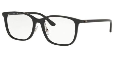 Ray-Ban  RB7168D 2000 