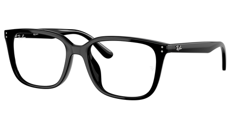 Ray-Ban  RB7248D 2000 