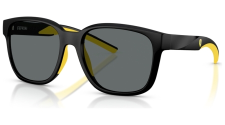 FZ6019D 504/81 FZ6019D 504/81