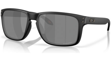 OO9487 02 HOLBROOK XXL