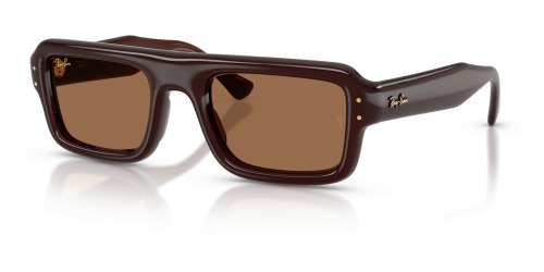 Ray-Ban  RB4954 689673 