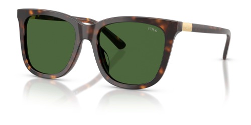 Ralph Lauren  PH4201U 500371 