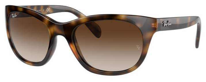  Ray-Ban  RB4216 710/13