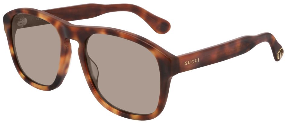  Gucci  GG0583S-003