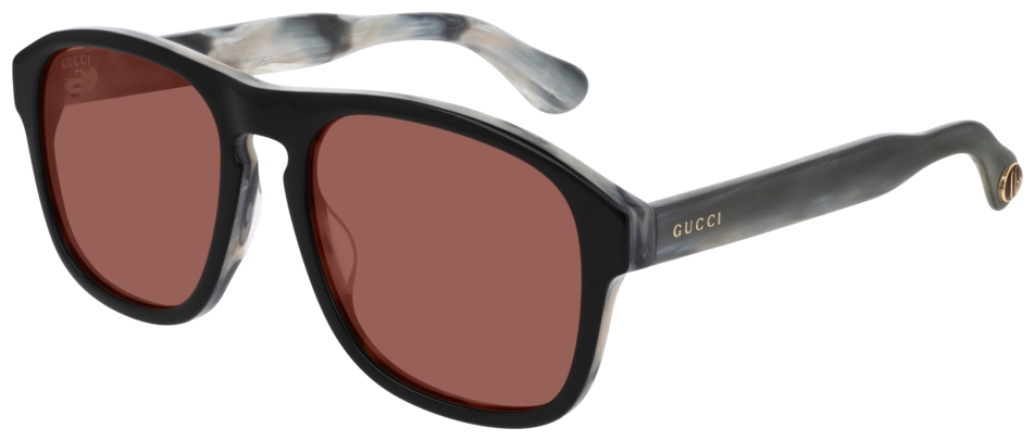  Gucci  GG0583S-004