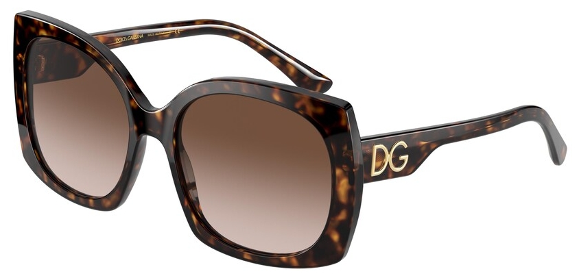  Dolce&Gabbana  DG4385 502/13