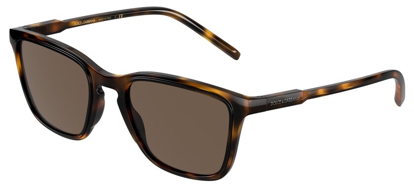  Dolce&Gabbana  DG6145 502/73