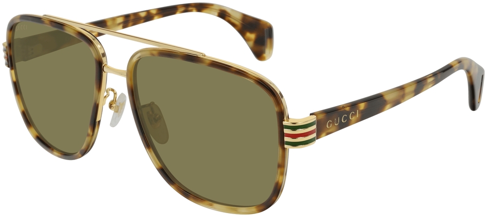  Gucci  GG0448S-005