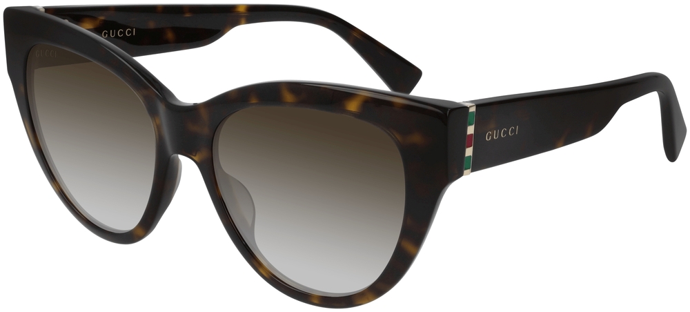 Gucci  GG0460S-002