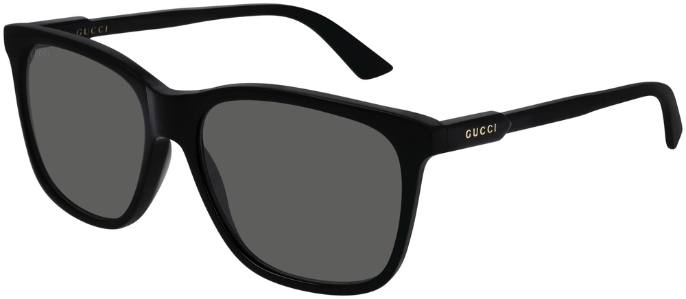  Gucci  GG0495S-001