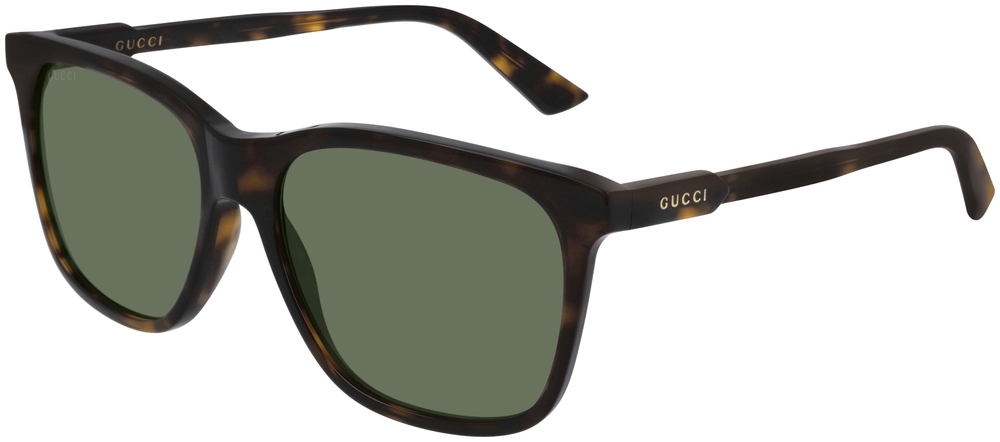  Gucci  GG0495S-002