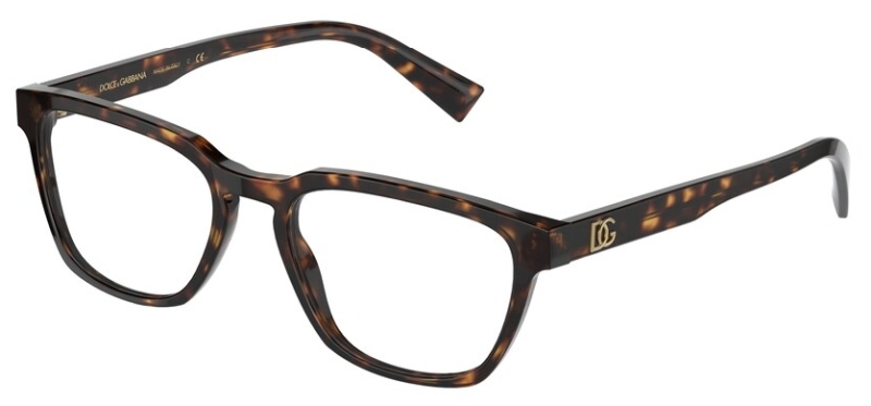  Dolce&Gabbana  DG3333 502