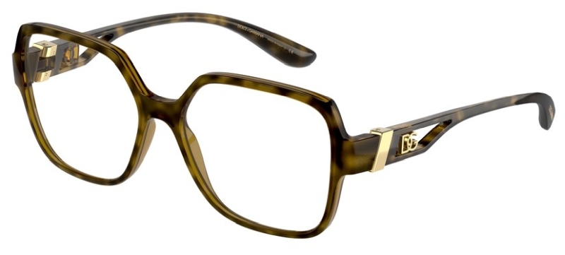  Dolce&Gabbana  DG5065 502