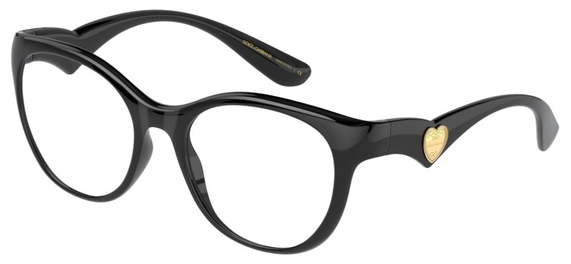  Dolce&Gabbana  DG5069 501