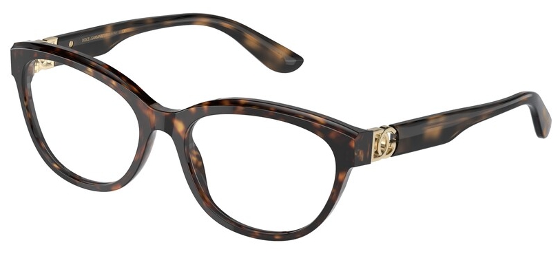  Dolce&Gabbana  DG3342 502