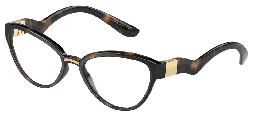  Dolce&Gabbana  DG5079 502