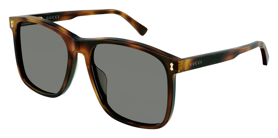  Gucci  GG1041S-002