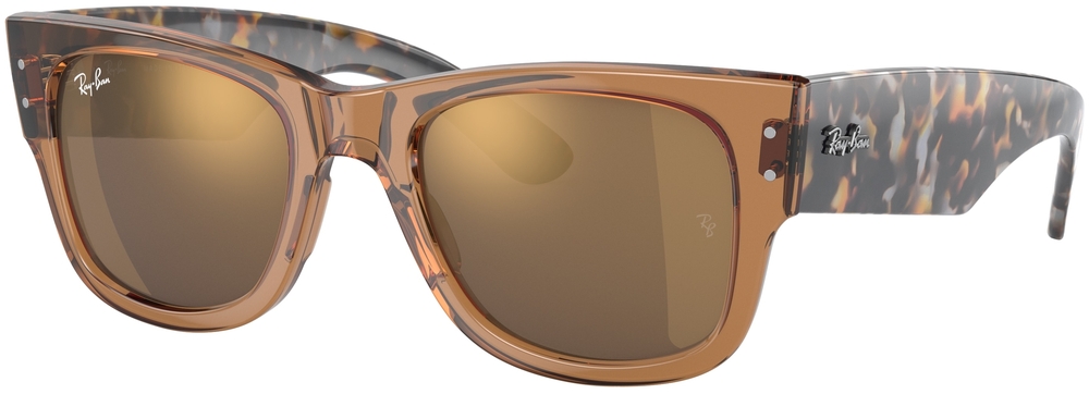  Ray-Ban  RB0840S 663693