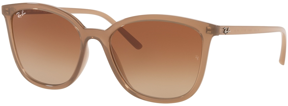  Ray-Ban  RB4350L 658613
