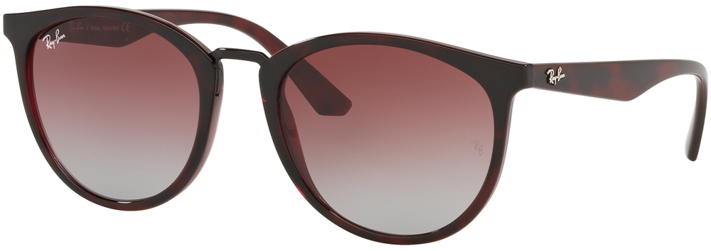  Ray-Ban  RB4358L 655336