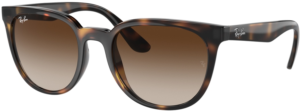  Ray-Ban  RB4381I 710/13