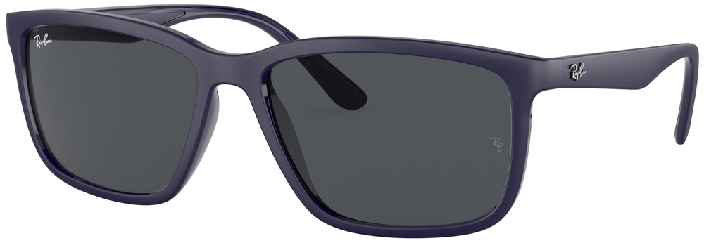  Ray-Ban  RB4384L 666987