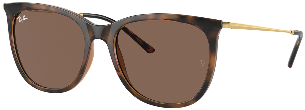  Ray-Ban  RB4403L 668873