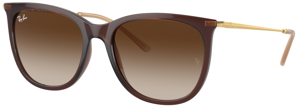  Ray-Ban  RB4403L 669013