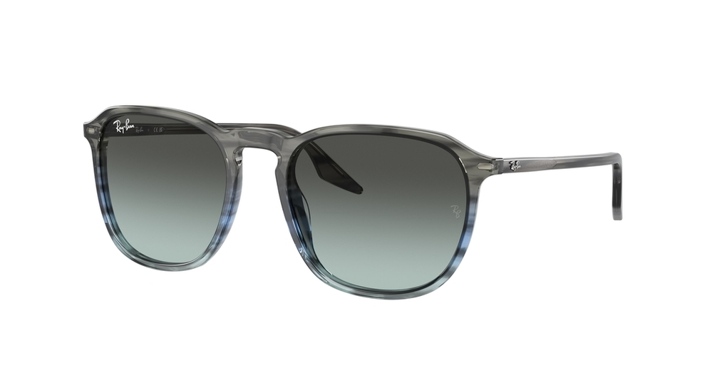  Ray-Ban  RB2203 1391GK