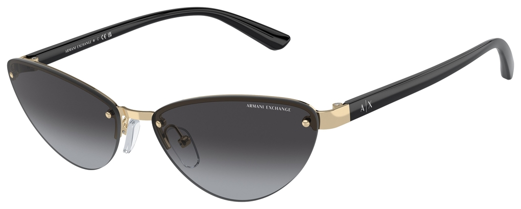  Armani Exchange  AX2049S 61108G