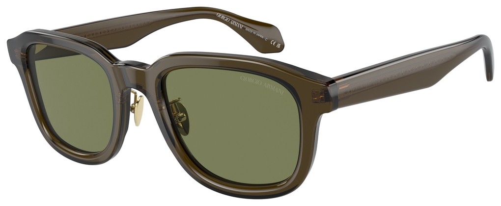  Giorgio Armani  AR8206 60612A