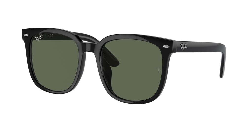  Ray-Ban  RB4401D 601/71