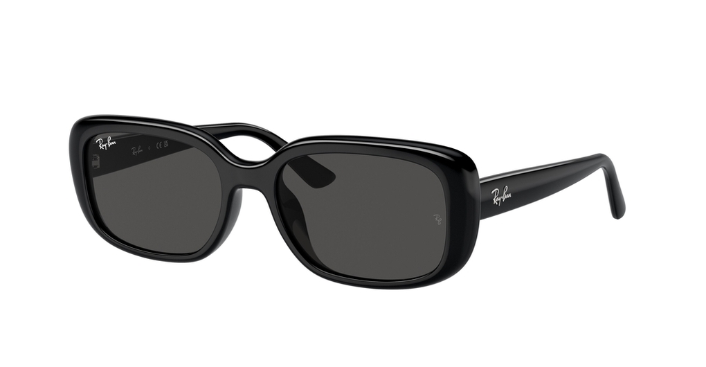  Ray-Ban  RB4421D 667787
