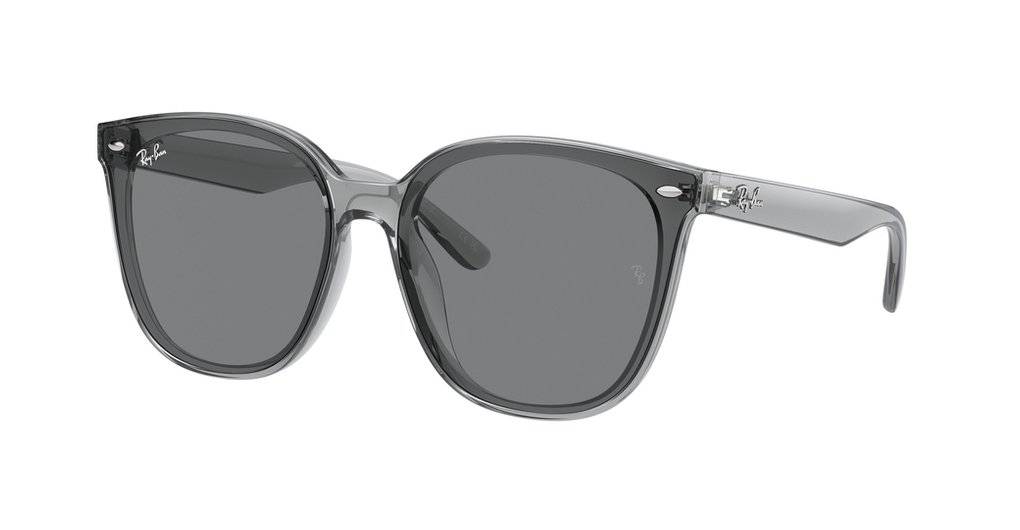  Ray-Ban  RB4423D 645087