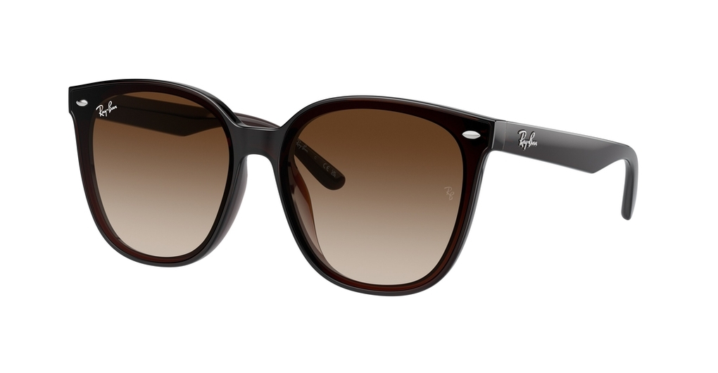  Ray-Ban  RB4423D 714/13