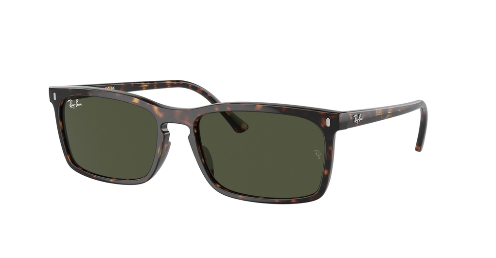  Ray-Ban  RB4435 902/31