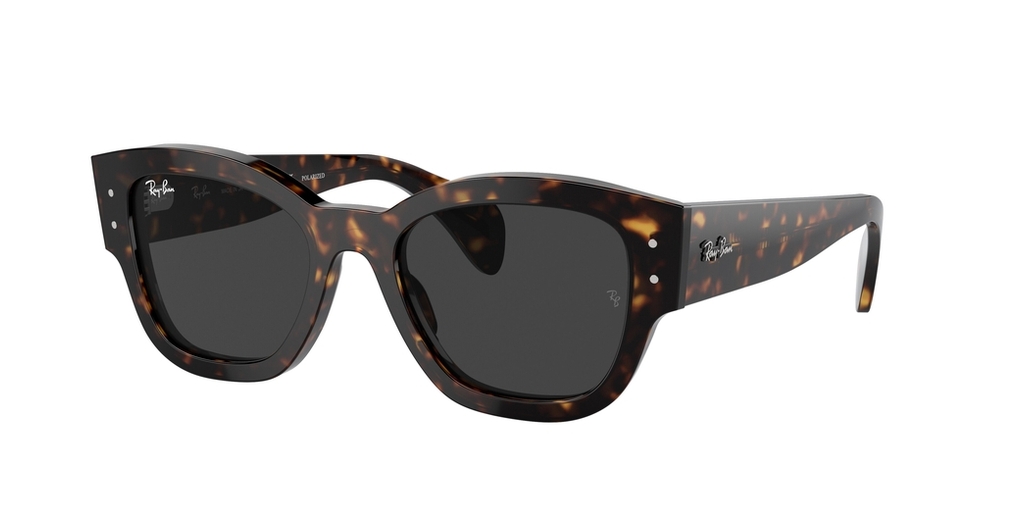  Ray-Ban  RB7681S 902/48