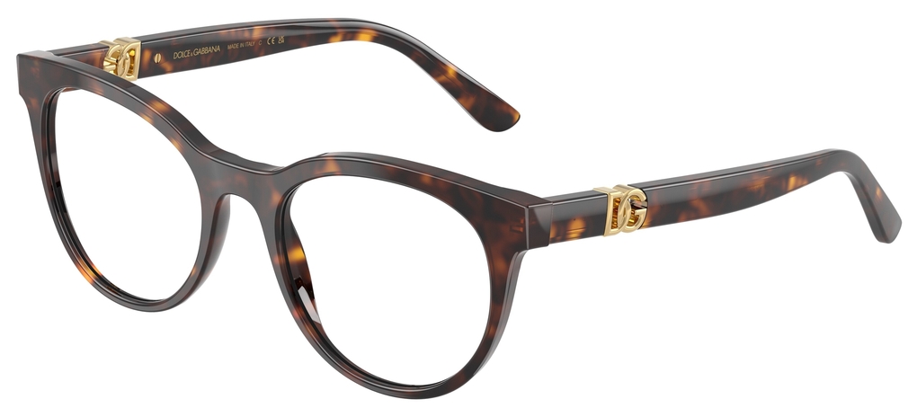  Dolce&Gabbana  DG3399 502