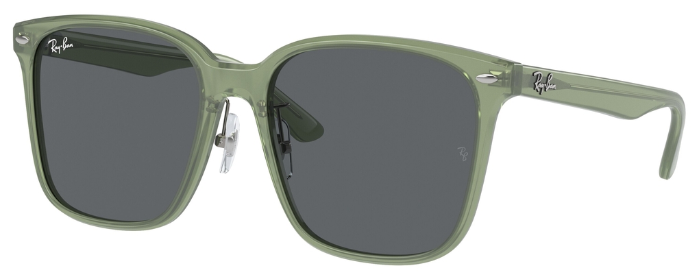  Ray-Ban  RB2206D 141187