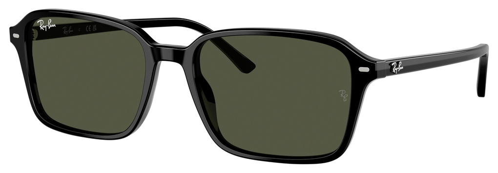  Ray-Ban  RB2231 901/31