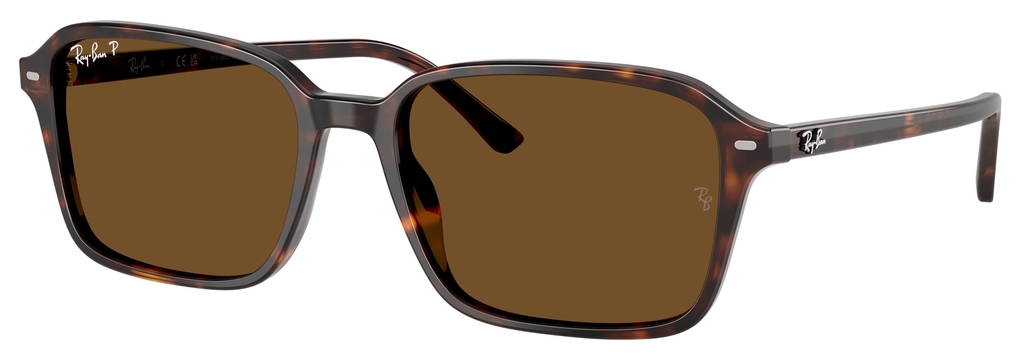  Ray-Ban  RB2231 902/57