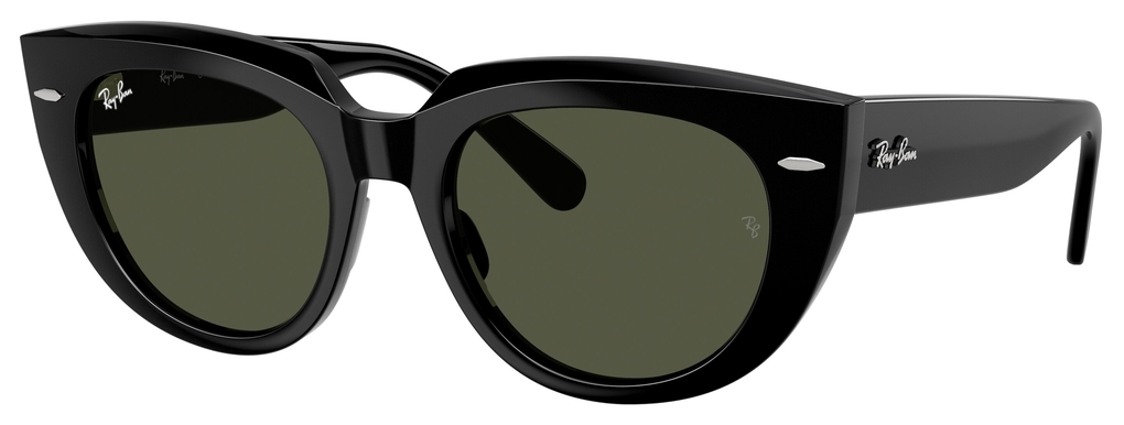  Ray-Ban  RB2286 901/31