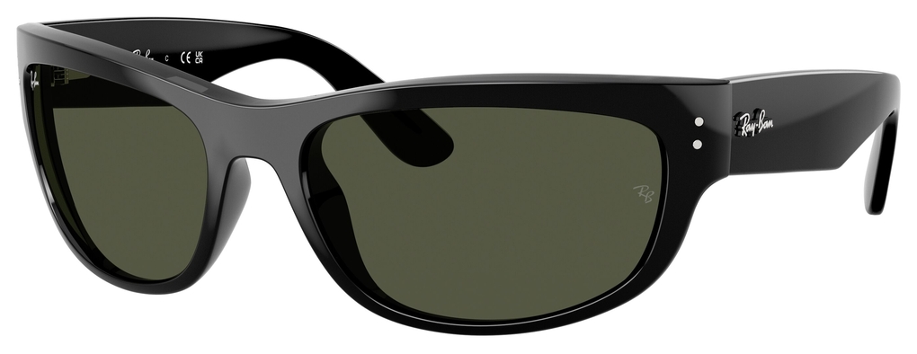  Ray-Ban  RB2289 901/31