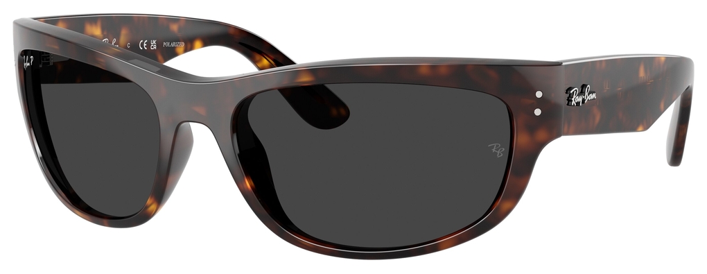  Ray-Ban  RB2289 902/48