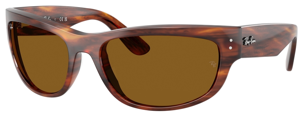  Ray-Ban  RB2289 954/33