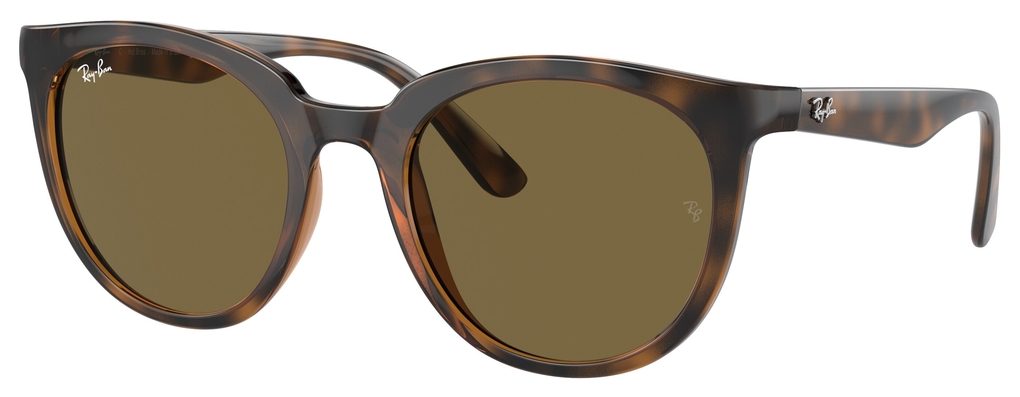  Ray-Ban  RB4383L 710/73