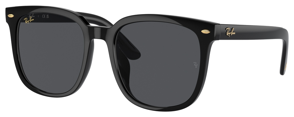  Ray-Ban  RB4401D 675787