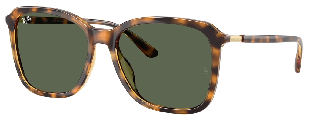  Ray-Ban  RB4417L 631171