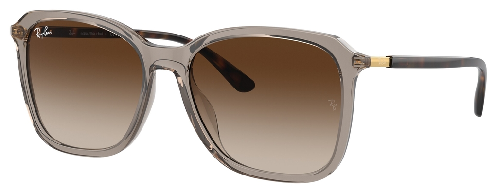  Ray-Ban  RB4417L 673713