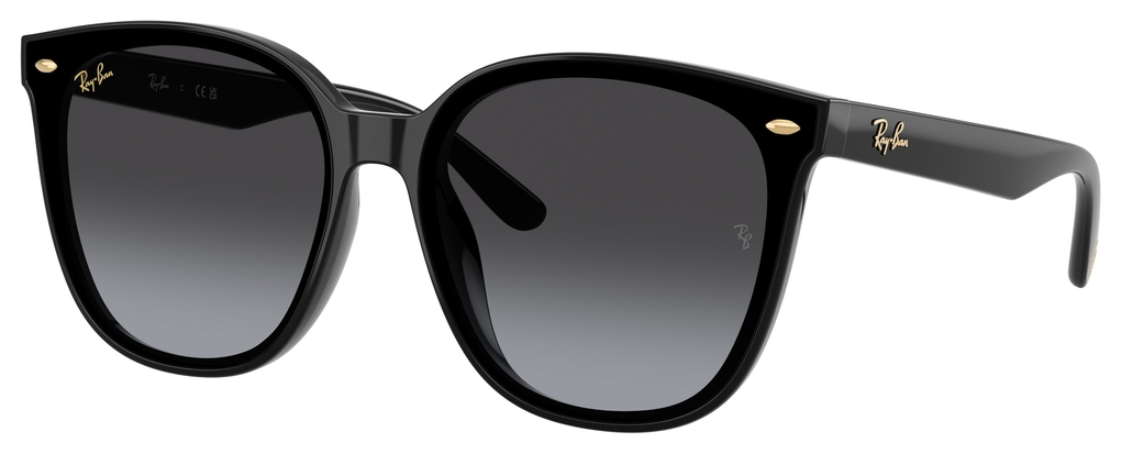  Ray-Ban  RB4423D 68078G